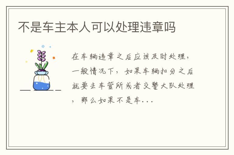 不是车主本人可以处理违章吗