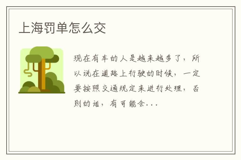 上海罚单怎么交