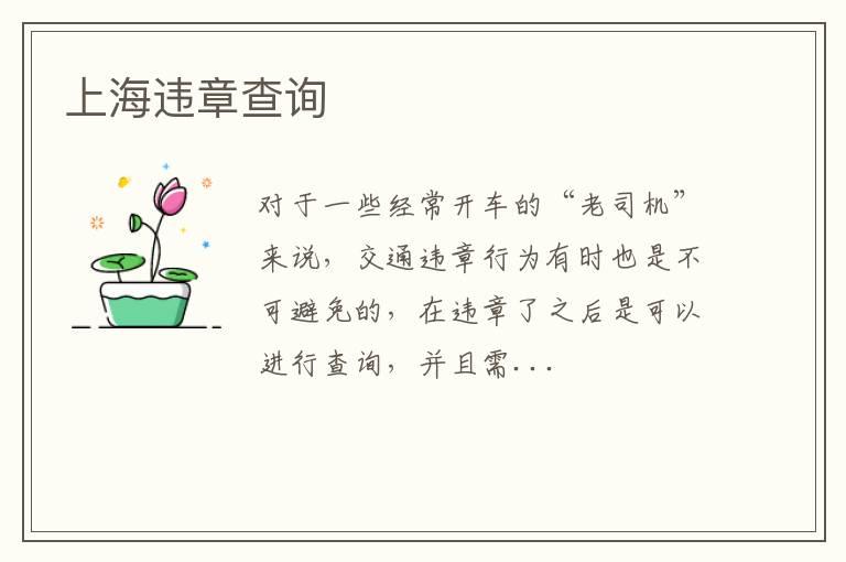 上海违章查询