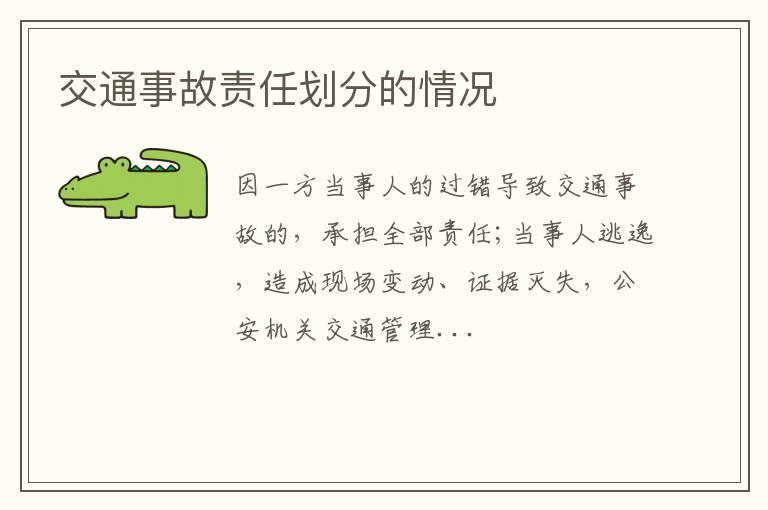 交通事故责任划分的情况