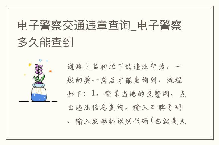 电子警察交通违章查询_电子警察多久能查到