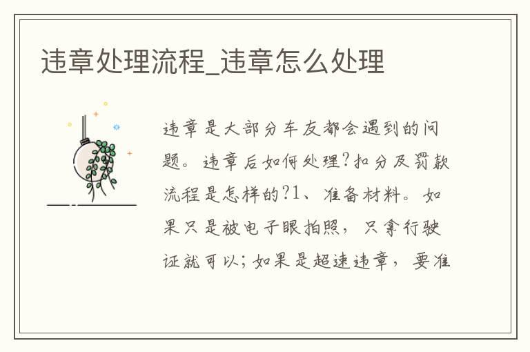 违章处理流程_违章怎么处理