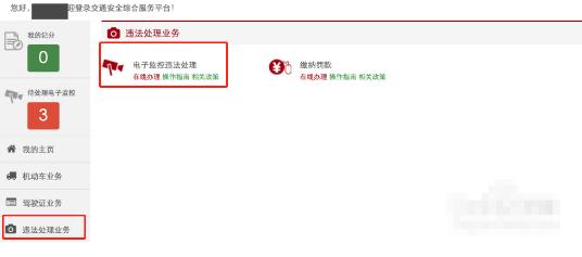 车辆违章能查看违章视频或图片吗?