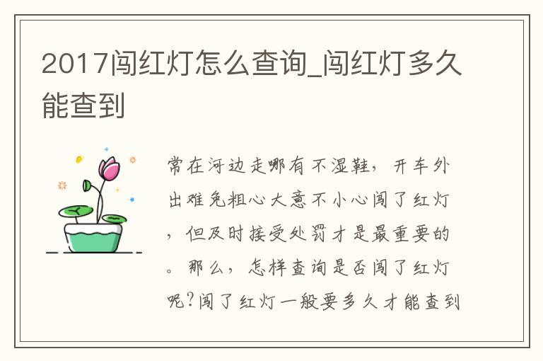 2017闯红灯怎么查询_闯红灯多久能查到