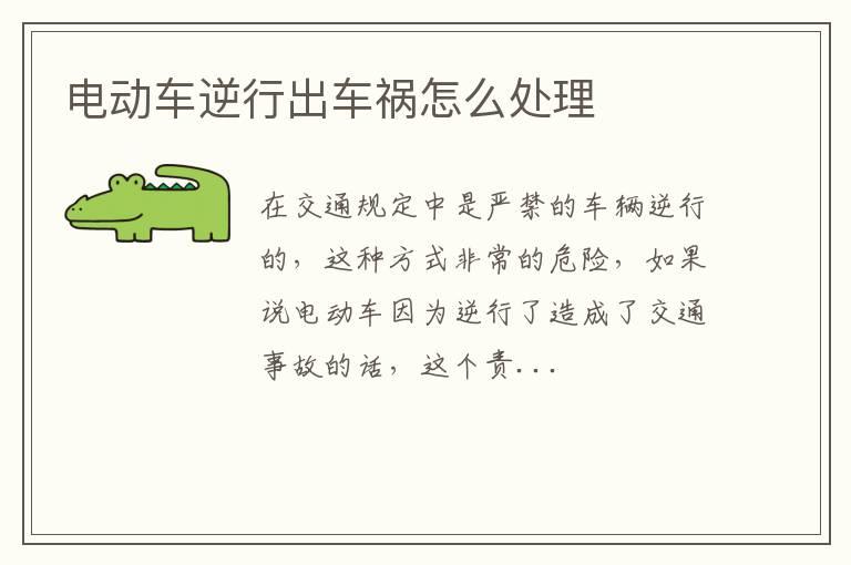 电动车逆行出车祸怎么处理