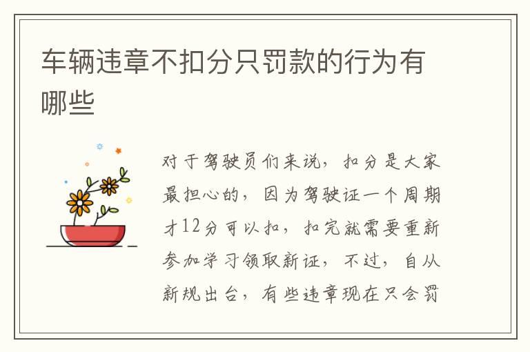 车辆违章不扣分只罚款的行为有哪些