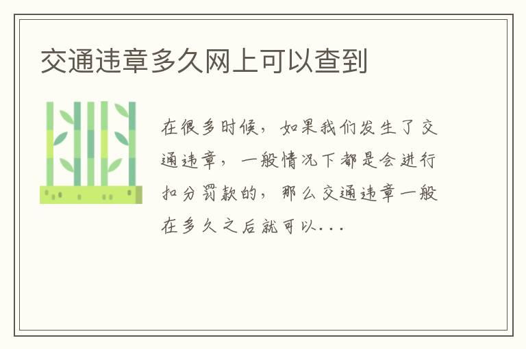 交通违章多久网上可以查到
