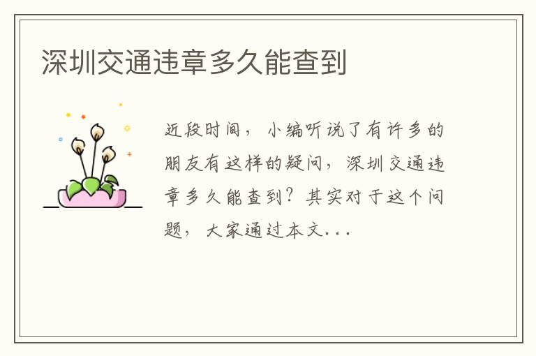 深圳交通违章多久能查到