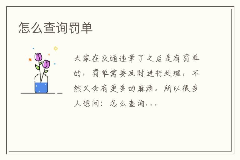 怎么查询罚单