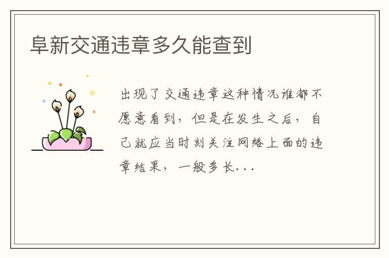阜新交通违章多久能查到
