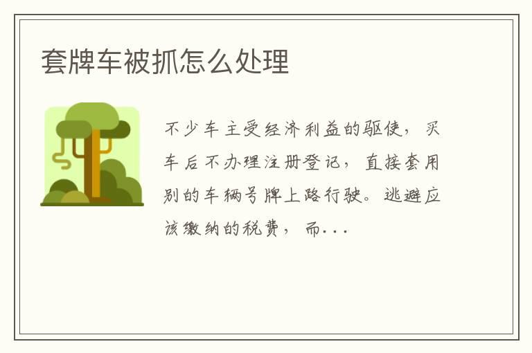 套牌车被抓怎么处理