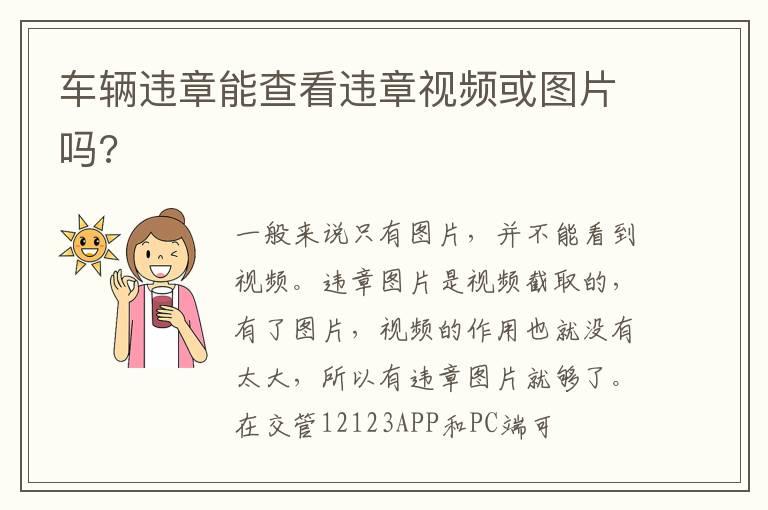 车辆违章能查看违章视频或图片吗?