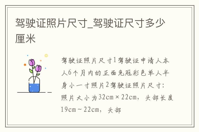 驾驶证照片尺寸_驾驶证尺寸多少厘米