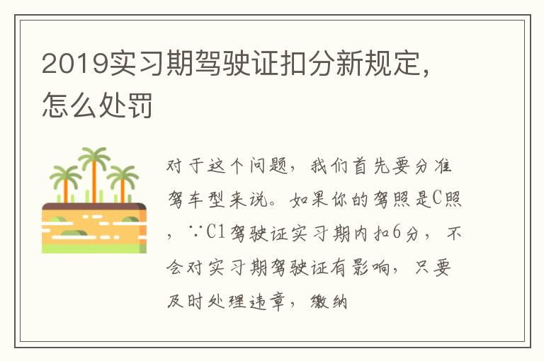 2019实习期驾驶证扣分新规定，怎么处罚