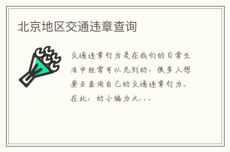 北京地区交通违章查询