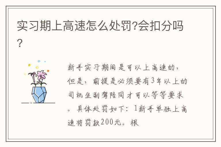 实习期上高速怎么处罚?会扣分吗?