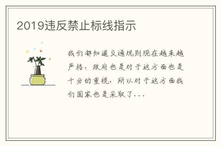 2019违反禁止标线指示