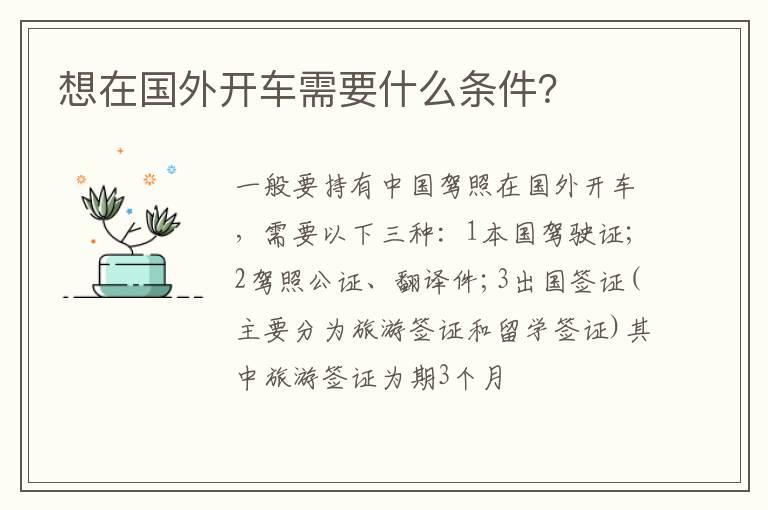 想在国外开车需要什么条件？
