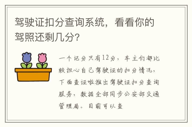 驾驶证扣分查询系统，看看你的驾照还剩几分?