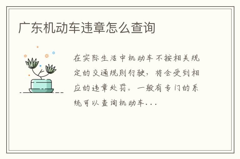 广东机动车违章怎么查询