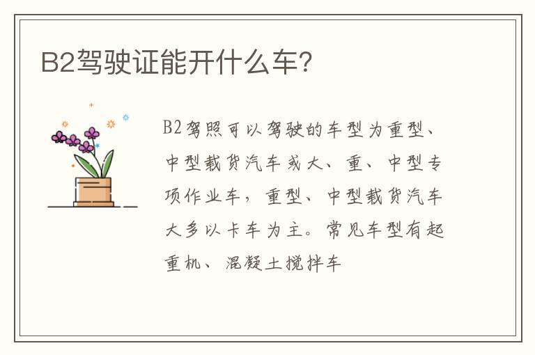 B2驾驶证能开什么车？