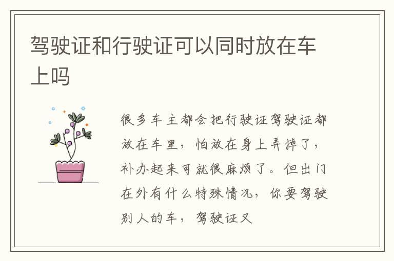 驾驶证和行驶证可以同时放在车上吗