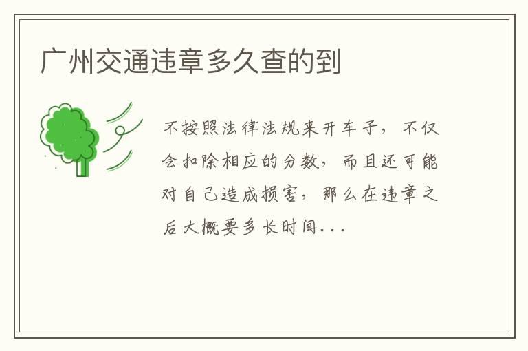 广州交通违章多久查的到
