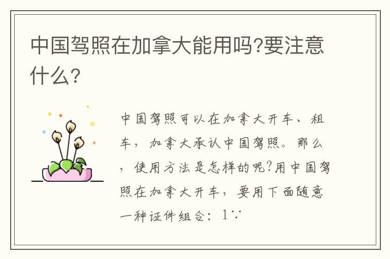 中国驾照在加拿大能用吗?要注意什么?