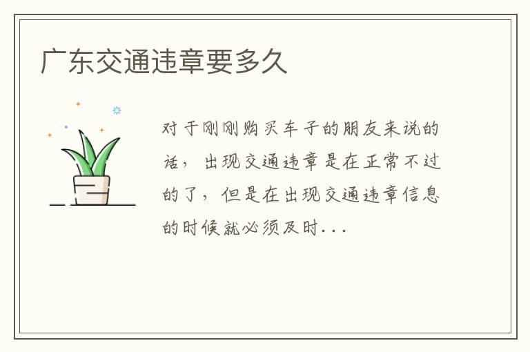 广东交通违章要多久