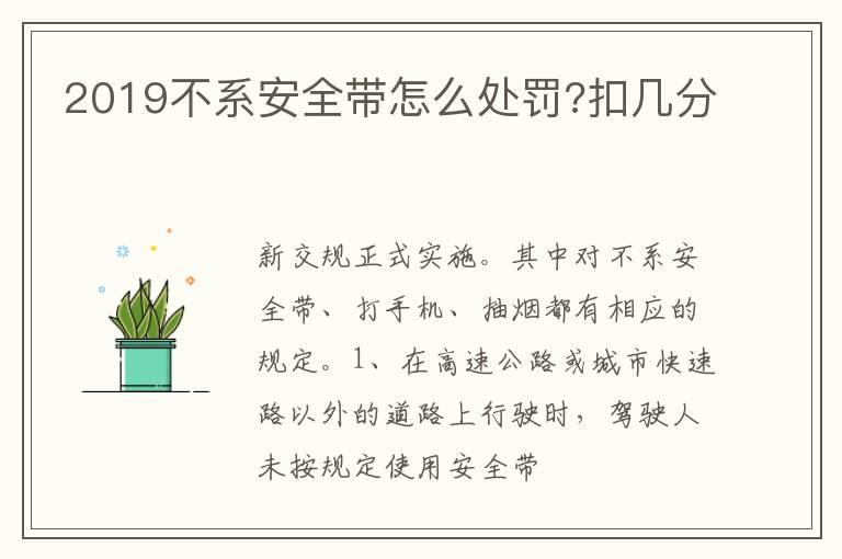 2019不系安全带怎么处罚?扣几分