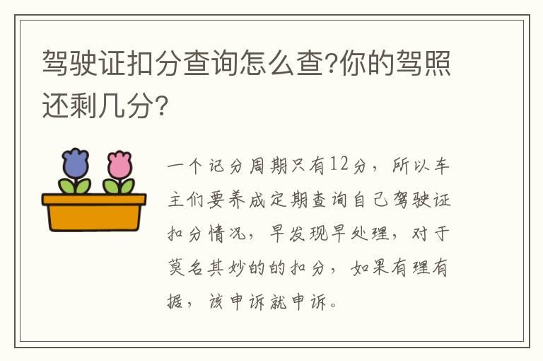驾驶证扣分查询怎么查?你的驾照还剩几分?