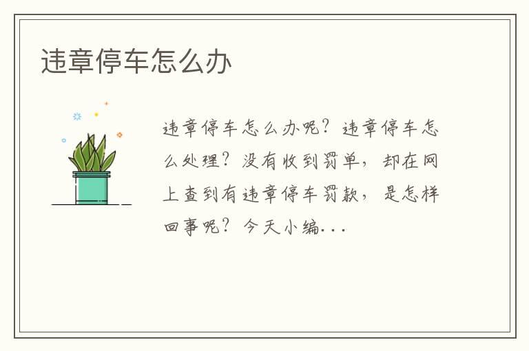 违章停车怎么办