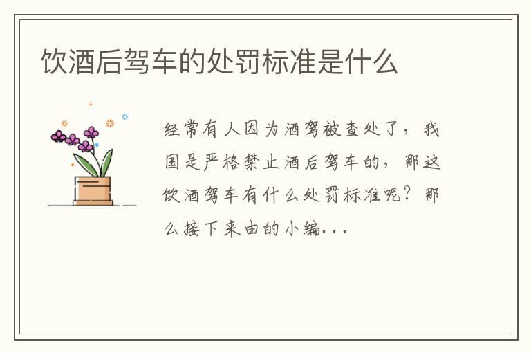饮酒后驾车的处罚标准是什么