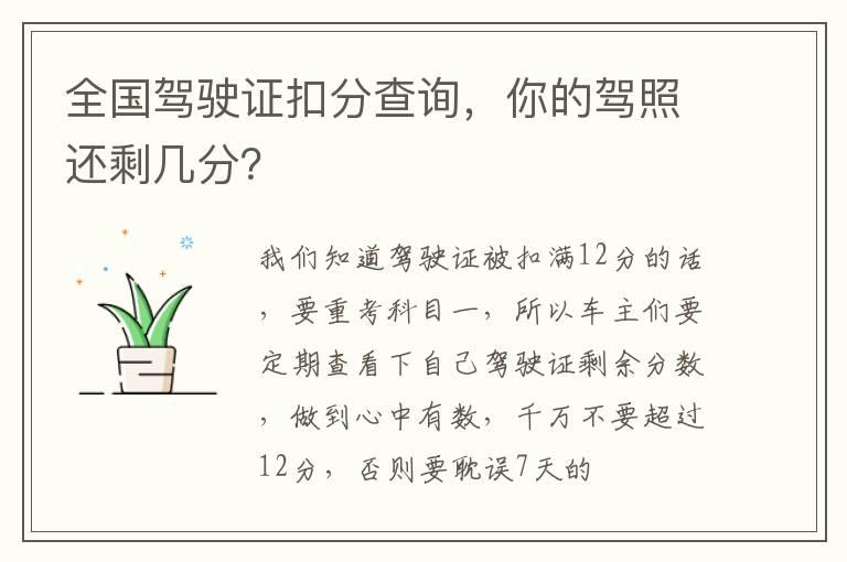 全国驾驶证扣分查询，你的驾照还剩几分？