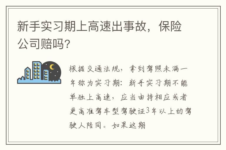 新手实习期上高速出事故，保险公司赔吗?