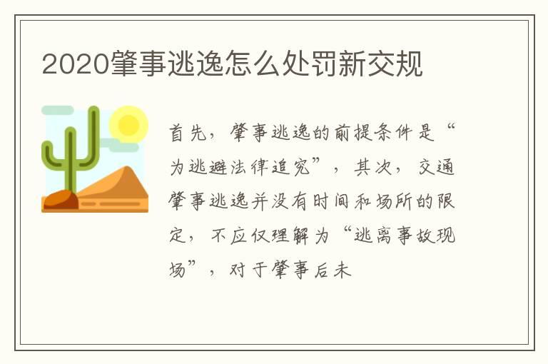 2020肇事逃逸怎么处罚新交规