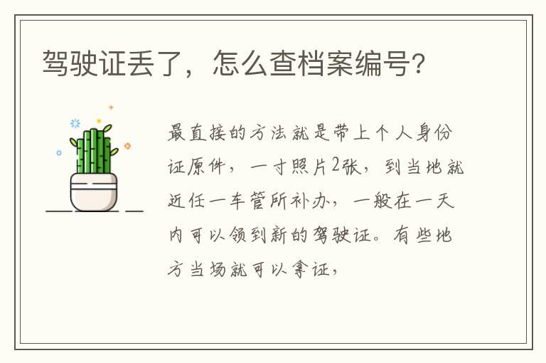 驾驶证丢了，怎么查档案编号?