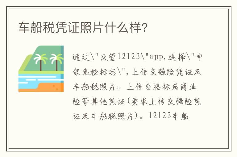 车船税凭证照片什么样?