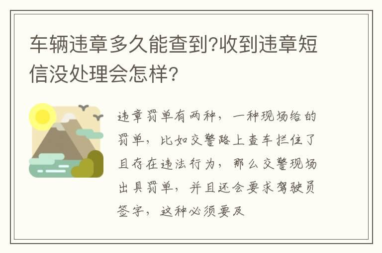 车辆违章多久能查到?收到违章短信没处理会怎样?