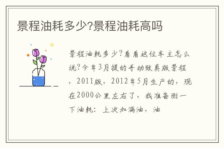景程油耗多少?景程油耗高吗