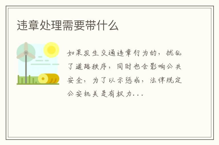 违章处理需要带什么