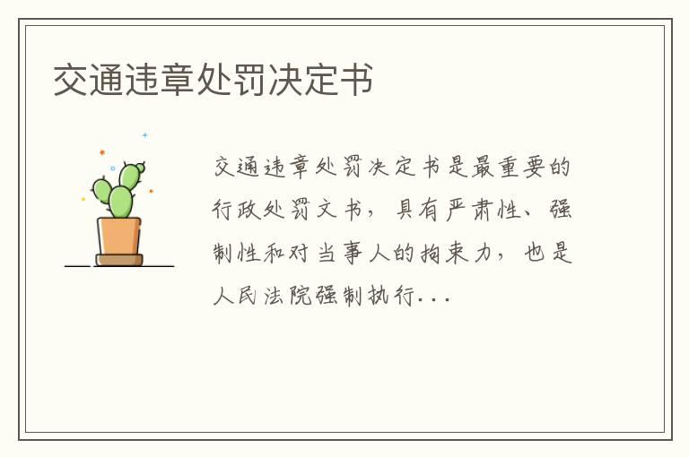 交通违章处罚决定书