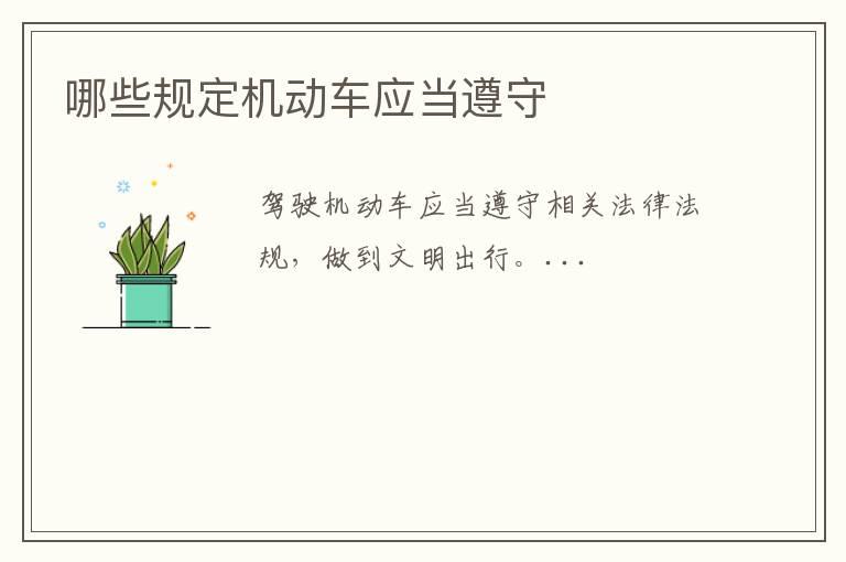哪些规定机动车应当遵守