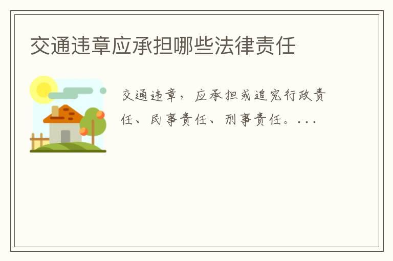 交通违章应承担哪些法律责任