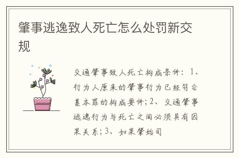 肇事逃逸致人死亡怎么处罚新交规