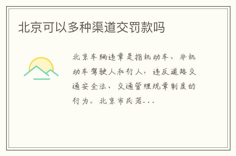 北京可以多种渠道交罚款吗