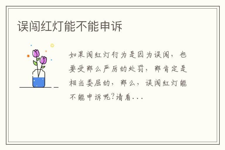 误闯红灯能不能申诉