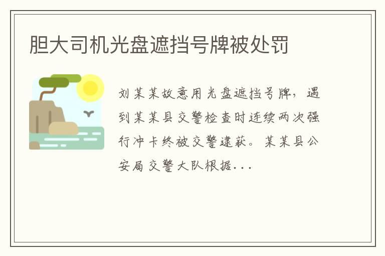 胆大司机光盘遮挡号牌被处罚