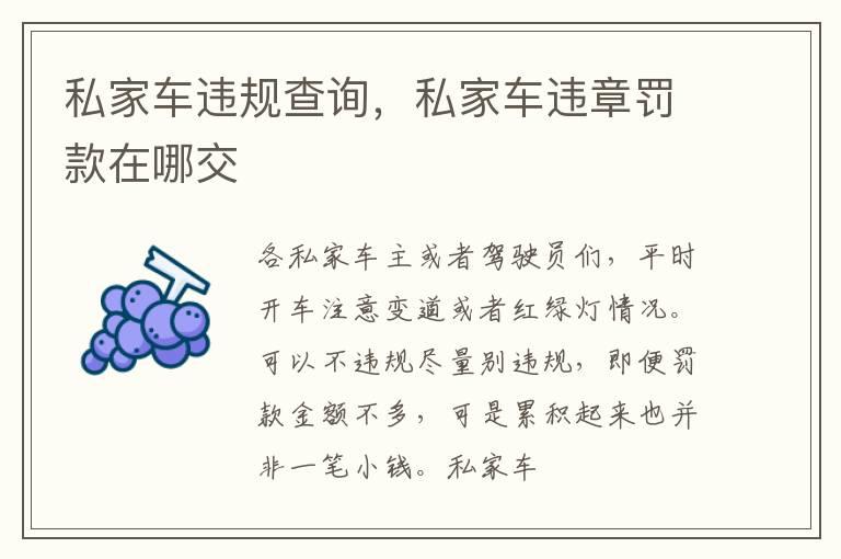 私家车违规查询，私家车违章罚款在哪交