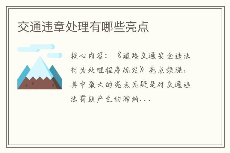 交通违章处理有哪些亮点